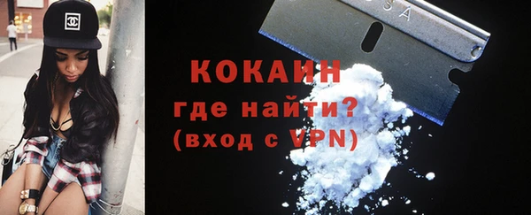крисы Баксан