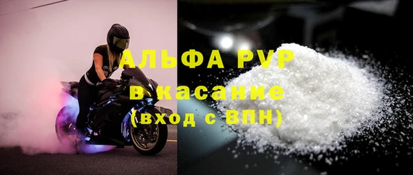крисы Баксан
