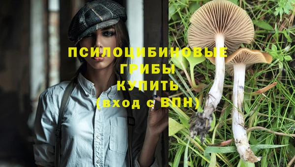 дурь Балабаново